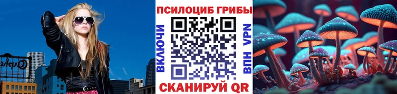 Псилоцибиновые грибы ЛСД  Циолковский 
